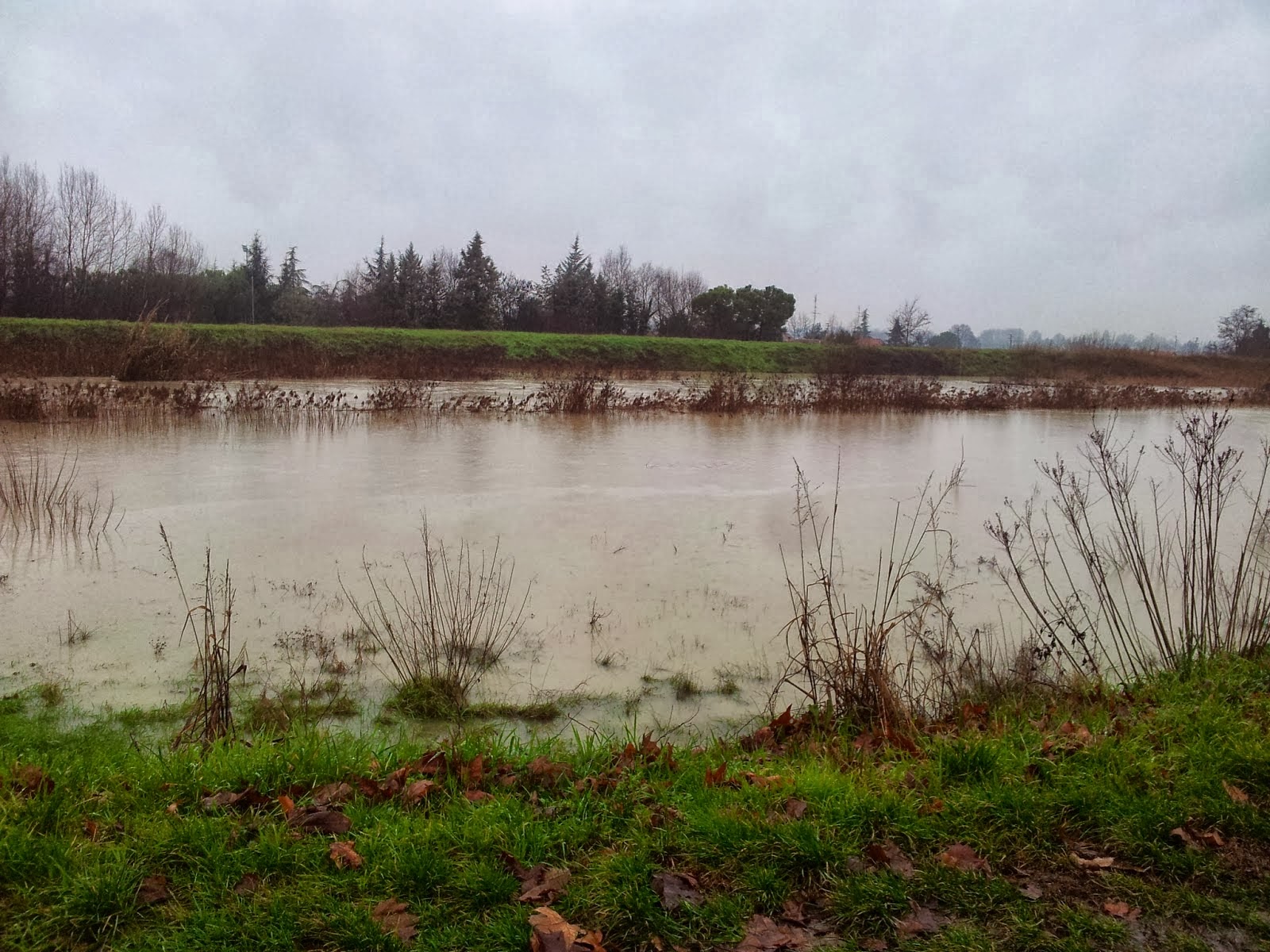 fiume.JPG