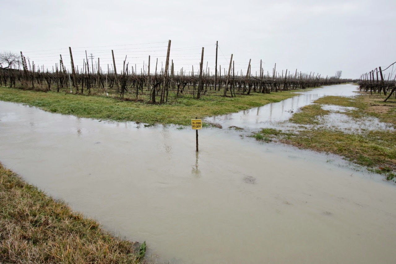 alluvione.jpeg