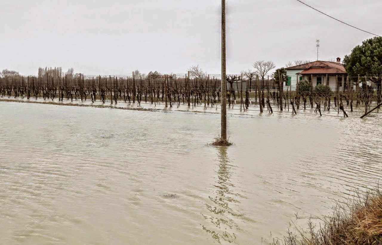 alluvione.jpeg