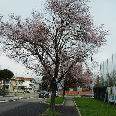 Nuova%2Bimmagine.JPG
