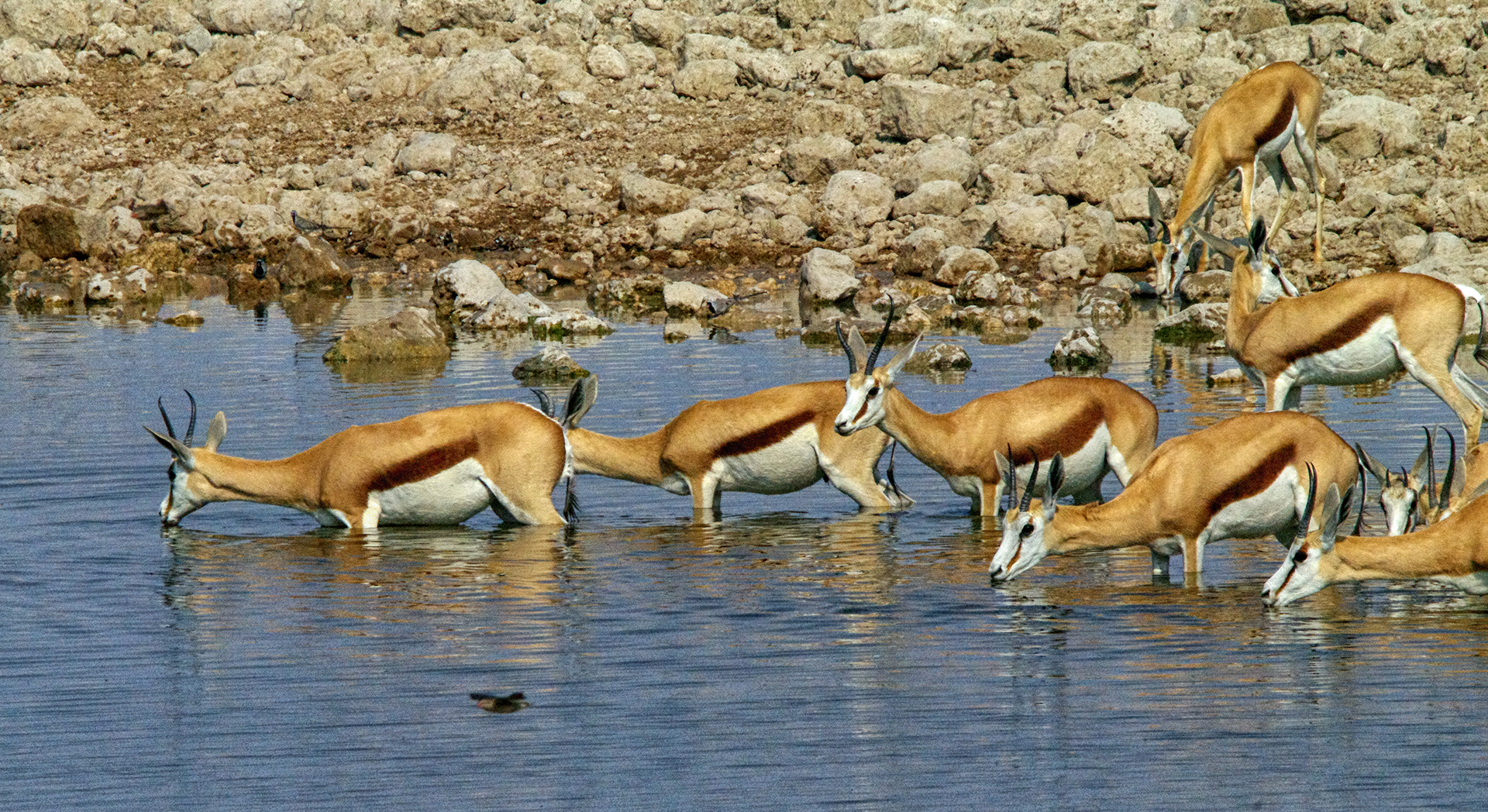 namibia 3