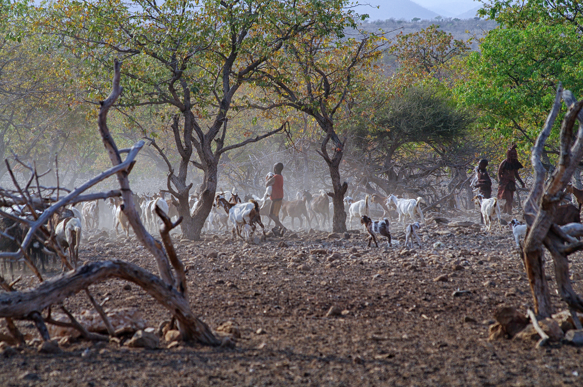 namibia 7