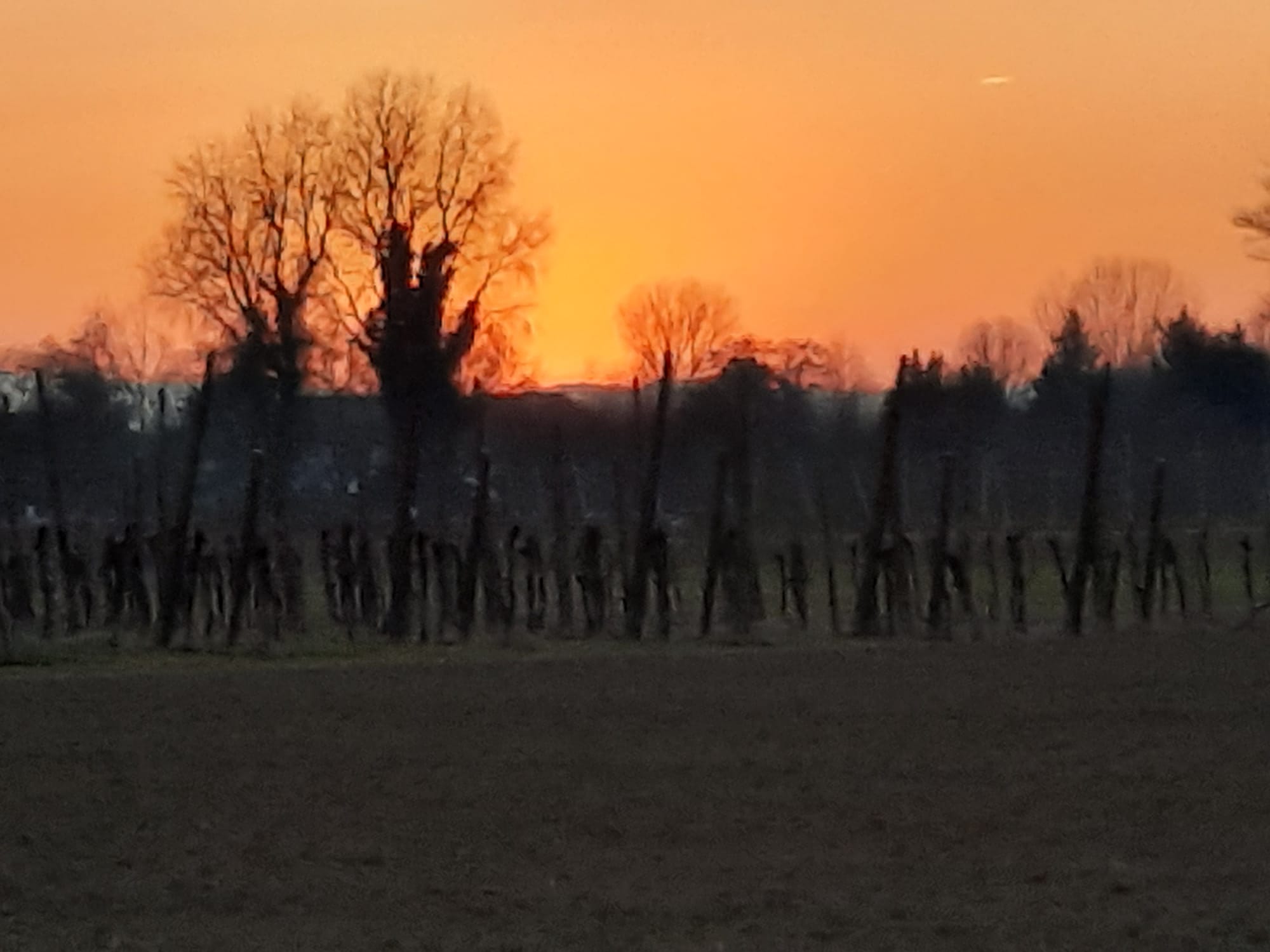 campagna