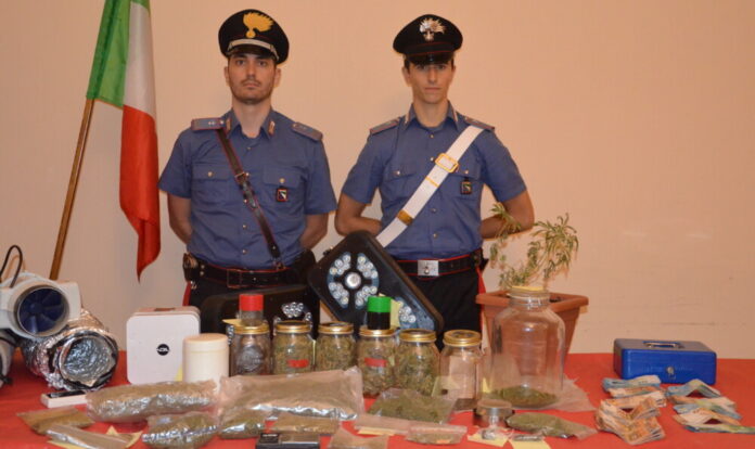 Marijuana in auto e una serra in casa, 40enne agli arresti domiciliari