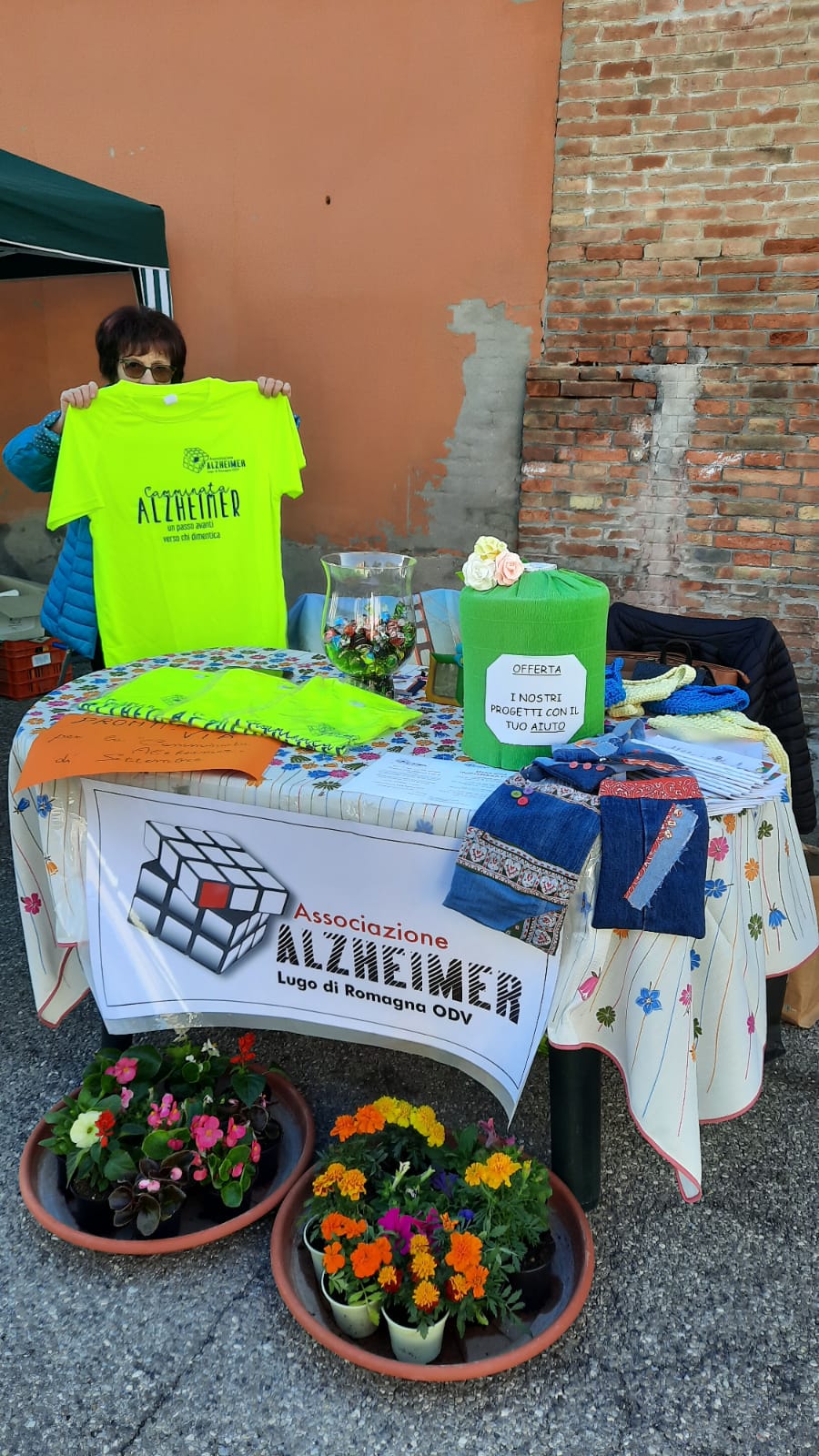 Alzh 1