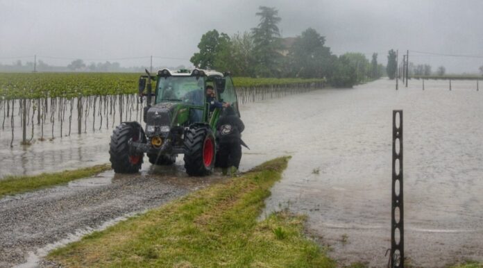 Il Sillaro rompe l’argine a Massa Lombarda