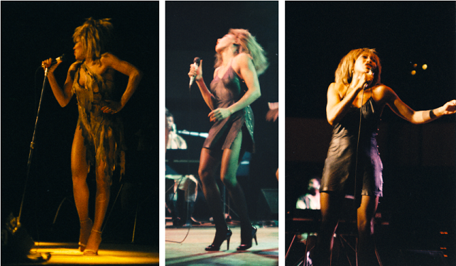 TinaTurner1984_Wikipedia
