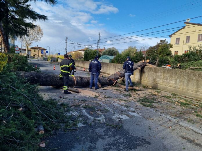Il vento fa danni: albero cade sui binari a Zolino, scoperchiata tensostruttura a Lugo
