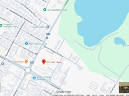 Lugo Summer Live: nell’area CRAI ESSECI di Lugo estate di grandi tributi e solidarietà