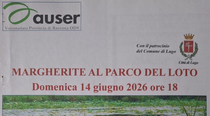 Tutti insieme in mezzo alle margherite