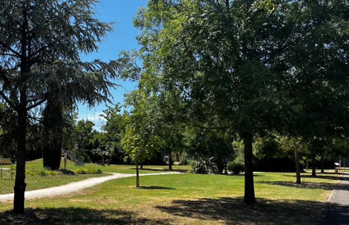 Parco Paul Harris