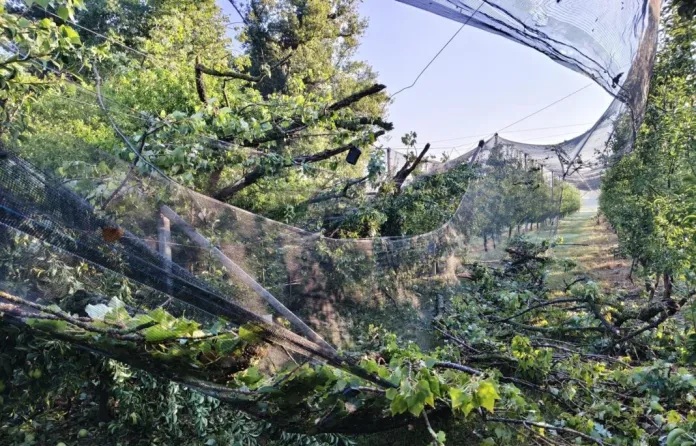 maltemp oagricoltura