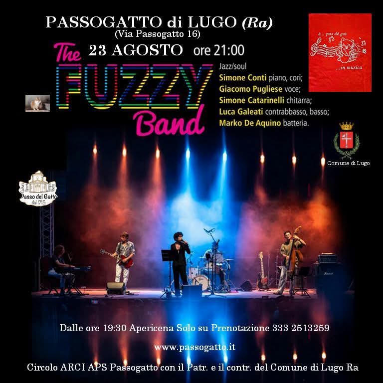passogatto 23